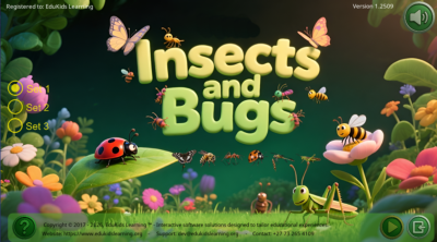 Insects & Bugs